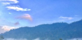 Kodai Serapan D'sawah