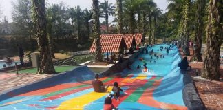 Lata Seri Pulai