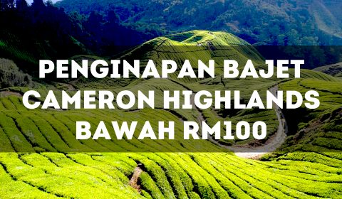 Penginapan Murah Cameron Highlands