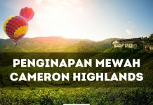 Penginapan Mewah Honeymoon Cameron Highlands