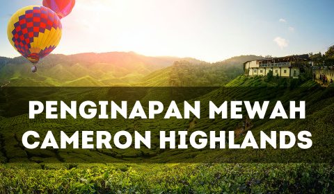 Penginapan Mewah Honeymoon Cameron Highlands