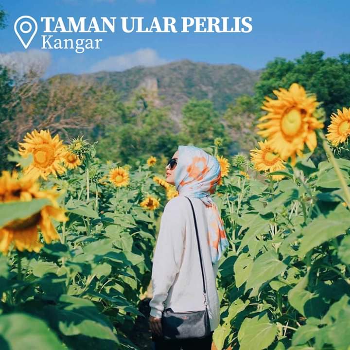 Taman Ular Perlis