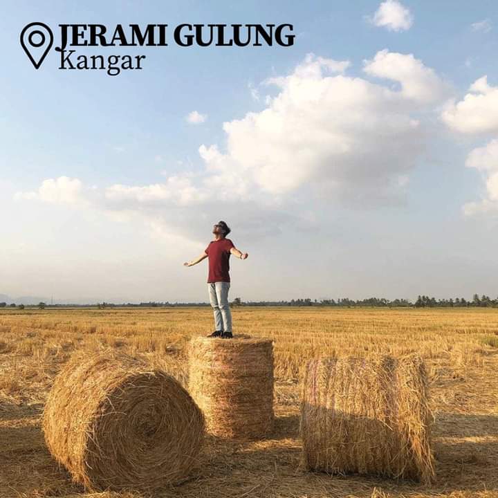 Jerami Gulung
